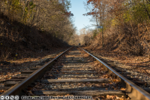 november-tracks-flickr-jennifertomaloff-15689921231-cc-by-nc-sa-licensed