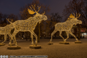 december-reindeer-flickr-120374925@N06-15959692199-cc-by-sa-licensed