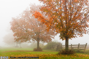 october-mist-1-flickr-btf5-10104646693-cc-by-nc-licensed